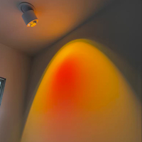Projecteur de mur rond coucher de soleil lumière Led miroir lumière Surface plafonnier ailé réglable Cob Downlight 7W 2700K joli design