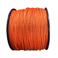 100 Yards 2mm 3mm 4mm 5mm 6mm Usine HDPE Plastique Bleu Blanc Rouge Jaune Nylon PP PE Corde Torsadée pour Emballage et Filet de Pêche