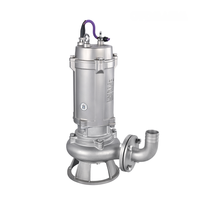 Pompe centrifuge submersible industrielle électrique verticale en fonte et acier inoxydable WQ/WQF pour eaux usées