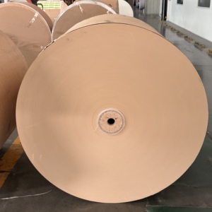 Rouleau de papier laminé PE de qualité alimentaire, imprimable en offset, format jumbo, pour emballages de snacks et vaisselle jetable - Product Image 2