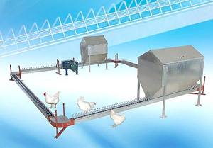 Chăn Nuôi Được Sử Dụng Rộng Rãi Tự Động Gia Cầm Farming Chain Feeder Hệ Thống Gà Hen Chuỗi Ăn Hệ Thống - Product Image 5