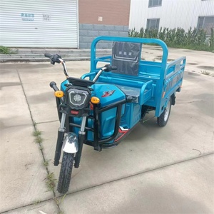 Triciclo Eléctrico de Carrocería Abierta de 48V 600W en Oferta, Triciclos Eléctricos de Doble Uso para Pasajeros y Carga para Adultos - Product Image 2