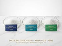 Polyacrylamide Anionique (APAM) en Poudre Anti-Calcaire, Floculant à 99% de Pureté, pH 6.0-8.0 pour le Traitement des Eaux Usées Industrielles et la Pierre