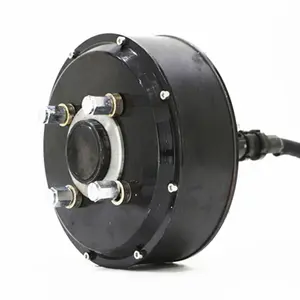 Qs 205 48v-96V 1500w to 3000w Electric Wheel Hub Motor For Electric Car