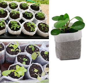 Plateau <span class=keywords><strong>de</strong></span> pépinière <span class=keywords><strong>de</strong></span> semis en plastique PS écologique Plateau <span class=keywords><strong>de</strong></span> plantes non tissé dégradable avec couvercle Équipement <span class=keywords><strong>de</strong></span> semis - Product Image 6