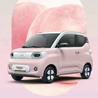 Auto Nuevo y Barato Wuling Hongguang MiniEV 2025 a Buen Precio Depósito 170KM 215KM Hecho en China Coche Pequeño de 3 Puertas y 4 Asientos