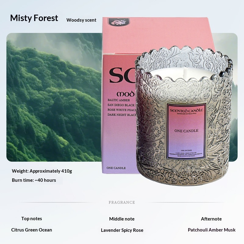 Misty Forest