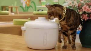 Contenedor de Almacenamiento de Alimentos para Mascotas al Vacío de Gran Capacidad de 14L, Hermético y a Prueba de Humedad, Cubo de Almacenamiento de Alimentos para Perros y Gatos - Product Image 3