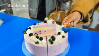 Équipement de découpe de gâteaux à ultrasons Wanlisonic à haute productivité, personnalisable, directement de l'usine