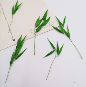 12 unids/bolsa <span class=keywords><strong>Avena</strong></span> con ramas, manualidades, fabricación de plantas naturales, flor prensada Real para Resina - Product Image 4