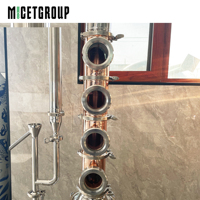 Distillateur d'alcool en acier inoxydable de petite capacité 50l Distillateur de bière en cuivre Distillateur de rhum Distillation Liqueur à vendre