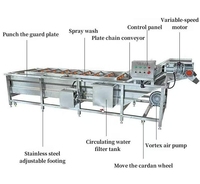 Automatische luchtbelwasmachine voor bladgroenten, fruit, aardappelen, wortelen, komkommers en voedselverwerking