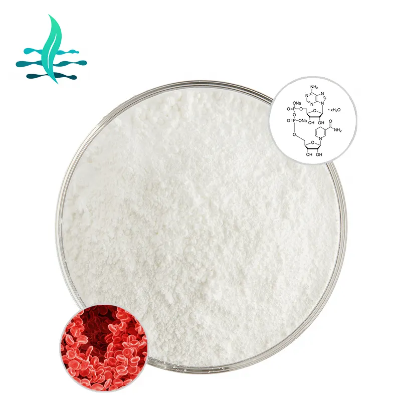 High quality Nicotinamide Adenine Dinucleotide NAD Powder 99% NAD+ CAS 53-84-9