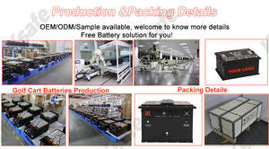 Paquete <span class=keywords><strong>de</strong></span> Baterías <span class=keywords><strong>de</strong></span> Litio-Hierro-Fosfato (LiFePO4) <span class=keywords><strong>de</strong></span> Alto Rendimiento <span class=keywords><strong>de</strong></span> 48V 60V 72V 40Ah 60Ah 70Ah 90Ah 100Ah 150Ah 200Ah para Motocicletas Eléctricas y Montacargas - Product Image 4