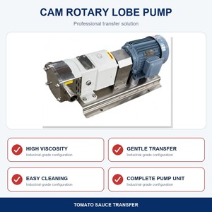 Pompe rotative à lobes sanitaire YAQUAN FRP-5 pour miel, sirop, sauce, en acier inoxydable 304 de qualité alimentaire, 5m³/h, 0,4MPa, 1,5kW, faible cisaillement - Product Image 2