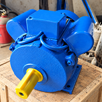 Moteur électrique monophasé à induction AC BIODTE 220V 1HP à 5.5HP 50/60Hz à couple élevé série YL pour pompes à eau et machines