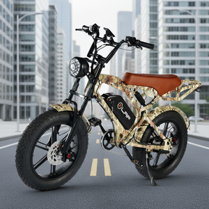 Bicicleta Eléctrica de 20 Pulgadas con Batería de Iones de Litio de 750 W, 48 <span class=keywords><strong>V</strong></span>, 72 <span class=keywords><strong>V</strong></span>, 14 Ah, con Pantalla LED - Product Image 1