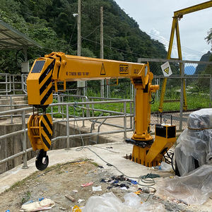 Grue de pont marine télescopique hydraulique de 3 tonnes pour plateformes offshore - Product Image 2