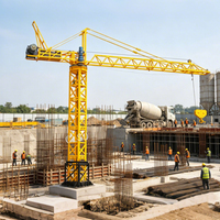 Mini-grue à tour QTG10 de 0,5 tonne pour la construction, directement de l'usine