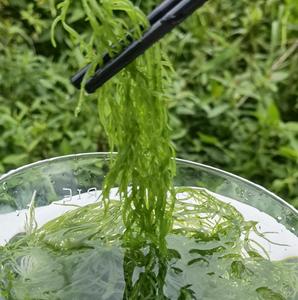 สาหร่ายโนริแห้งธรรมชาติ จี๋กวนจ้าว ขนาด 1 กิโลกรัม/ถุง - Product Image 2