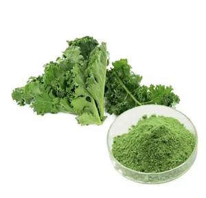 Горячая Распродажа органический экстракт капусты порошок <span class=keywords><strong>100</strong></span>% чистый травяной экстракт зеленый порошок - Product Image 1