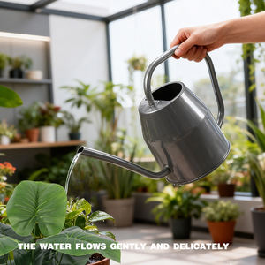Regadera Metálica Pequeña <span class=keywords><strong>de</strong></span> 1000 ml <span class=keywords><strong>con</strong></span> Rociador <span class=keywords><strong>de</strong></span> Vidrio <span class=keywords><strong>de</strong></span> 360 ml <span class=keywords><strong>para</strong></span> <span class=keywords><strong>Plantas</strong></span> <span class=keywords><strong>de</strong></span> Interior, Suculentas, Cactus, Plántulas y Bonsáis - Product Image 4