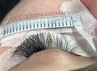 Extensions de cils préfabriquées en gros, noir brun foncé, tiges courtes, volume 3D 4D 5D 6D 7D 8D 10D, fibres PBT 0.07mm, faites à la main