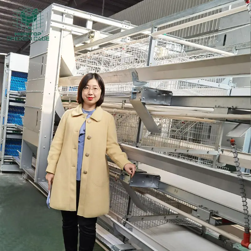 Poultry Farming Automatic Layer Egg Chicken Cage With Automatic Feeder And Drinker System