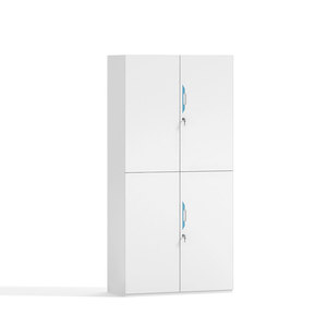 Steel <b>Freestanding</b> Storage Cabinet with Adjustable <b>Shelves</b> Customized Color and Lock Office File Cabinet Huge Space - Product Image 3