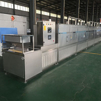Machine de séchage de poudre de Jujube de Type Tunnel industriel