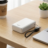 PD 20W Support de charge rapide en gros universel électronique grande capacité centrale LCD Mini batterie externe 20000mAh avec câble
