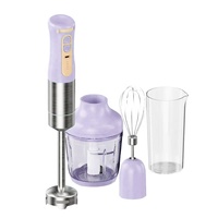 Mixeur Plongeant Sans Fil Rechargeable USB à 3 Vitesses Variables avec Moteur AC, Ensemble de 0,6 L pour Extérieur, Lames en Acier Inoxydable, Prise UE