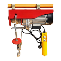 Mini-grue électrique sans fil à faible bruit avec freinage automatique à coupure de courant 110V monophasé pour atelier et garage