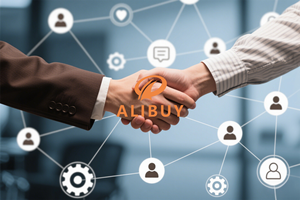 Sistema de Compras en Línea Alibuy, Comprador de Vestidos de Moda de Taobao, Servicio de Compras 1688, Entrega a Domicilio Disponible, Agente - Product Image 5