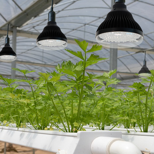 Invernadero LED <span class=keywords><strong>de</strong></span> espectro completo personalizado <span class=keywords><strong>de</strong></span> 24W, plantas domésticas inteligentes, granja <span class=keywords><strong>Vertical</strong></span>, Lettus PAR38, luz deportiva para cultivo - Product Image 5