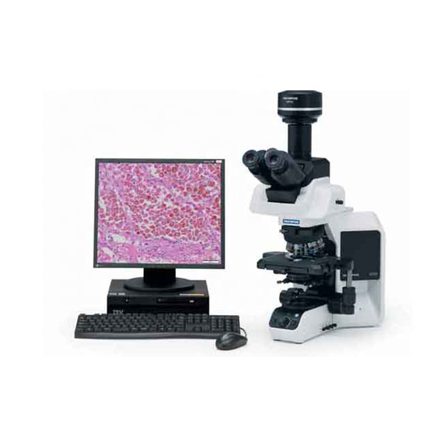 IN-BX43 Olympus Cx33 2.4w Led Laboratory Biological Microscope