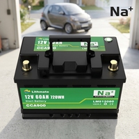 Batterie de démarrage à basse température haute performance CCA 12V 60Ah au sodium-ion pour véhicules automobiles