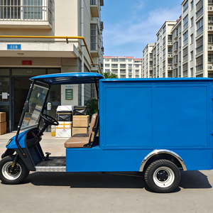 Pick-up électrique 2 places |   Voiturette de golf mini-cargo à basse vitesse pour hôtels, complexes hôteliers et livraison - Product Image 1