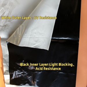 Film de serre Panda noir et blanc réfléchissant en HDPE, résistant aux intempéries, <span class=keywords><strong>200</strong></span> <span class=keywords><strong>microns</strong></span>, robuste, pour serres multi-spans - Product Image 2