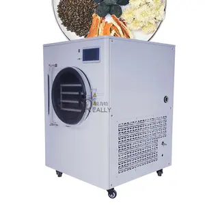 Industrial Use Small Capacity Compressor Air Refrigerated Dryer Freeze Dryer With Low Dew Point