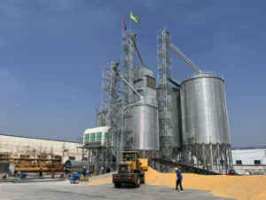 Factory Direct New Galvanized Steel Cone Bottom Silos 50T-1000T Capacity for Sunflower and <b>Other</b> Seeds for Farms - Product Image 5