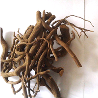 RUIWO PHYTOCHEM Extrait de racine de Kava Kava de haute qualité, extrait végétal alimentaire, poudre de Kavalactone 30% 70%, extrait naturel de racine de Kava