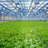 Serre multi-travées Sinok Venlo en polycarbonate, serre en plaques PC, kit de serre à structure en acier galvanisé pour légumes