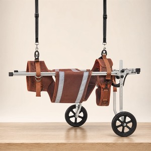 Chariot de mobilité réglable pour chien avec 2 roues, harnais de soutien pour la rééducation et la marche - Product Image 1