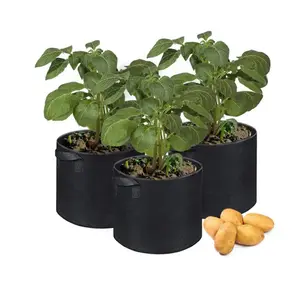 Maceta Bolsas <span class=keywords><strong>de</strong></span> cultivo <span class=keywords><strong>Macetas</strong></span> Agrícolas Venta al por mayor Granja al aire libre Gran <span class=keywords><strong>tela</strong></span> <span class=keywords><strong>de</strong></span> fieltro Plantas Jardín Bolsa <span class=keywords><strong>de</strong></span> cultivo <span class=keywords><strong>para</strong></span> cultivar vegetales - Product Image 3