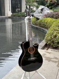 Guitarra acústica Bullfighter D-21 - Product Image 4