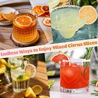 70+ Gemengde Gedroogde Citrus Schijfjes, 4 Soorten Gedroogde Citrusvruchten waaronder Gedroogde Sinaasappel, Citroen, Lime & Grapefruit voor Cocktails en Thee