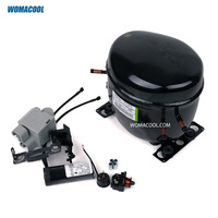 Compresseur hermétique à piston Aspera Embraco FFU160HAX 220-240V/50Hz R134a L/MBP 1/2HP pour la réfrigération