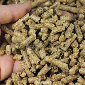 Pellets de Pino de Alta Densidad, Combustible para Estufas de Calefacción con Bajo Contenido de Polvo, Caldera de Biomasa, Pellets de Madera de Combustión Limpia - Product Image 2