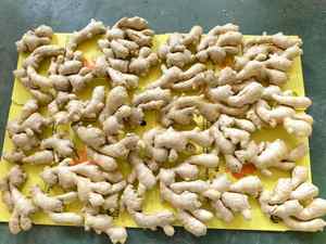 <span class=keywords><strong>Venta</strong></span> caliente 80-150g Jengibre al por mayor para la exportación con la mejor calidad y precio barato Jengibre fresco de alta calidad con Global Gap & Haccp - Product Image 4